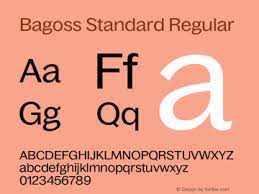 Bagoss Standard Font